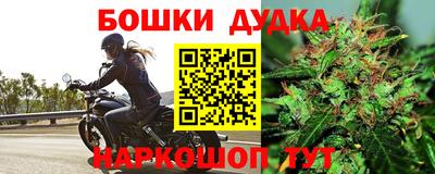 сатива Гусев