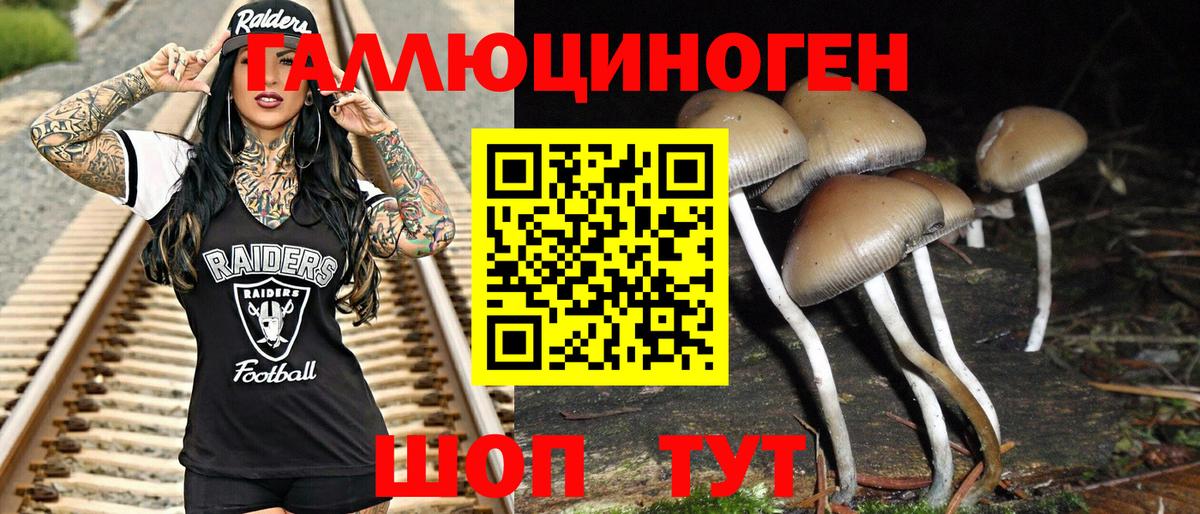 Псилоцибиновые грибы GOLDEN TEACHER Керчь