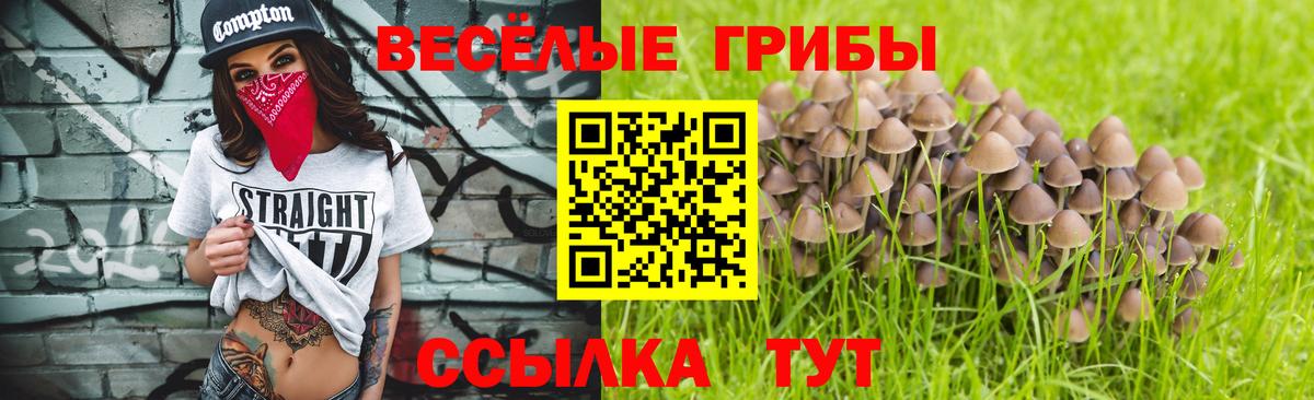 Галлюциногенные грибы Psilocybe  Псилоцибиновые грибы Magic Shrooms  Керчь  Вход с VPN 